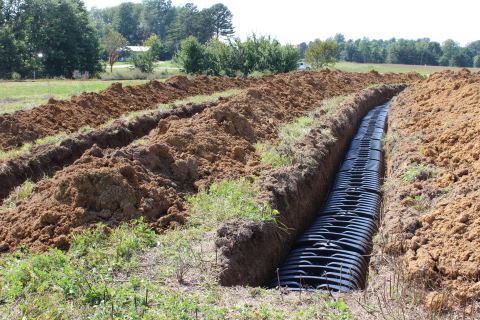 Septic Field
